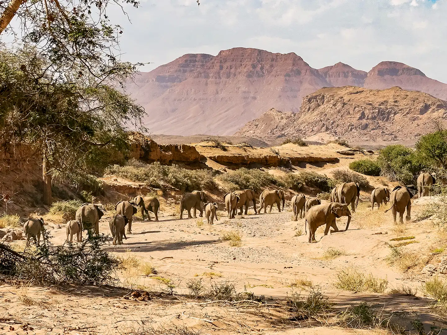 01_ondili-huab-region-damaraland_md