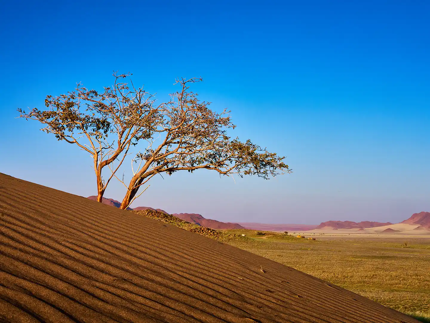 108 Ondili-namib-02