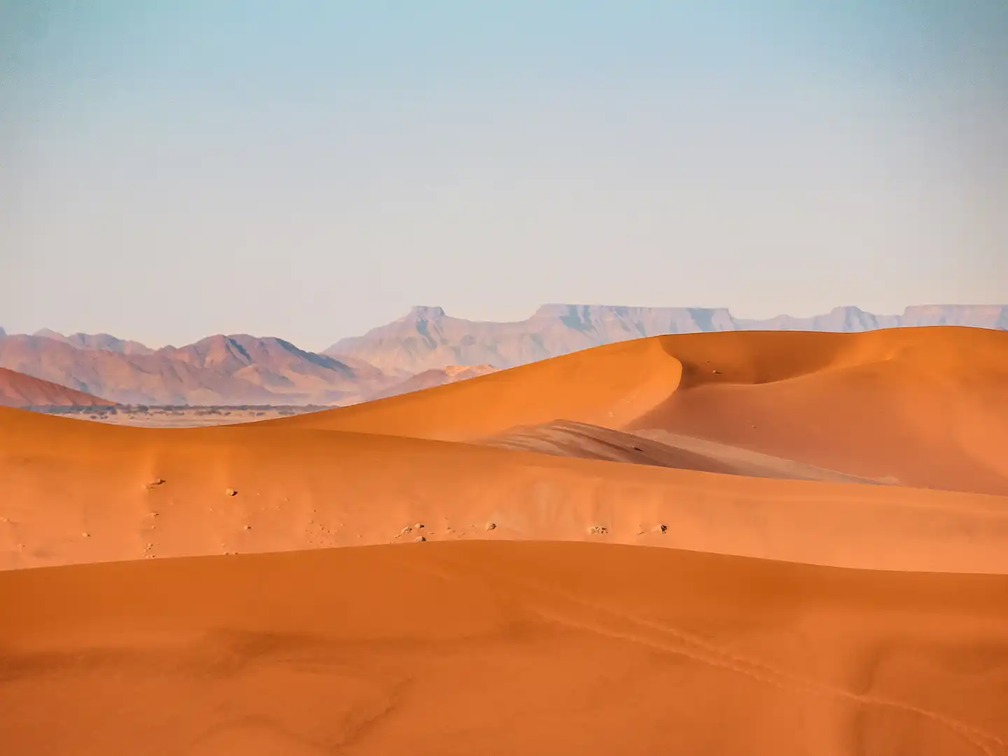 10_ondili-namib-region_md