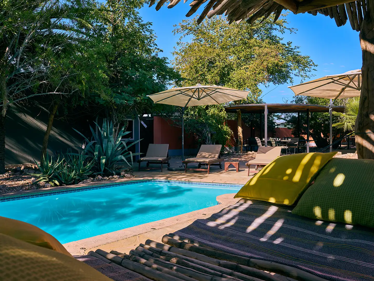 266 Ondili Teufelskrallen Lodge_md