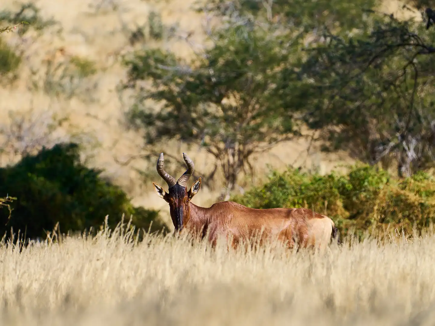 278-ondili-aktivitaet-scenic-drive-erongo_md