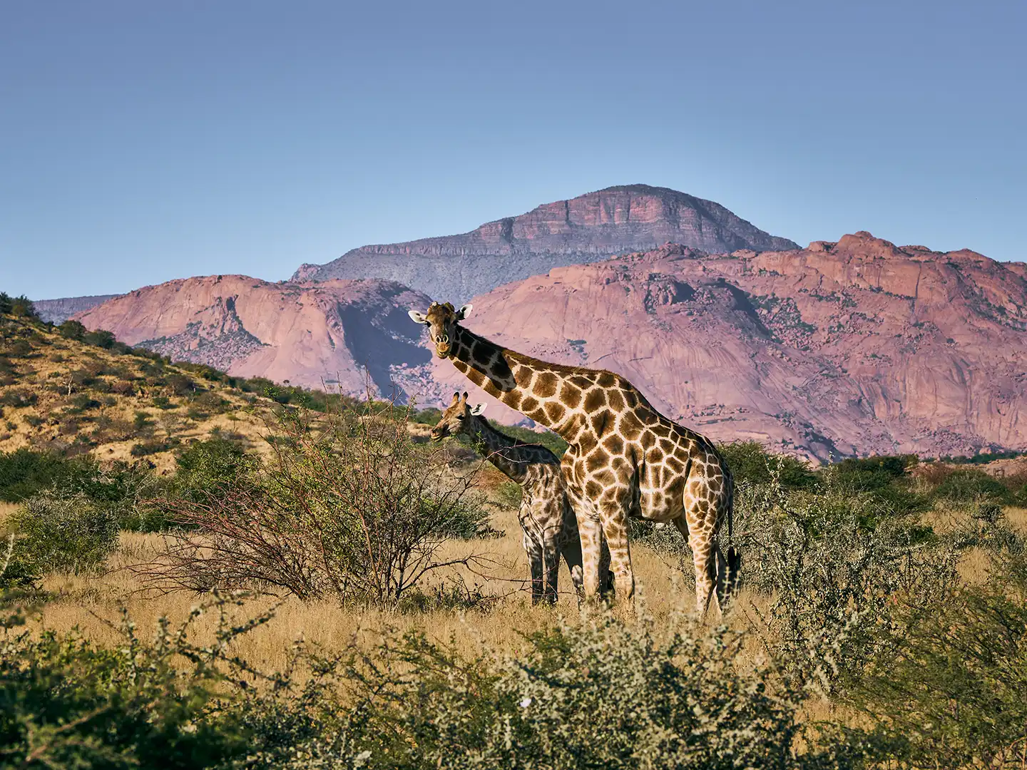 299 Ondili aktivitaet-guided-walk-erongo_md