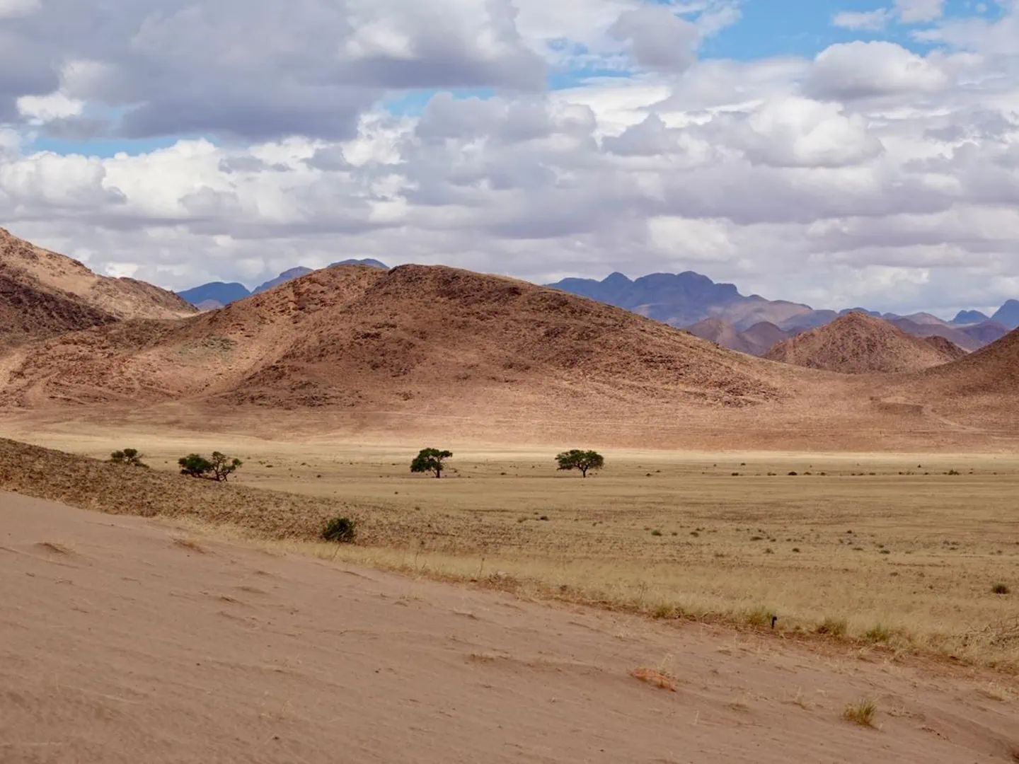 Ondili_Wildland Nature Reserve_01_low