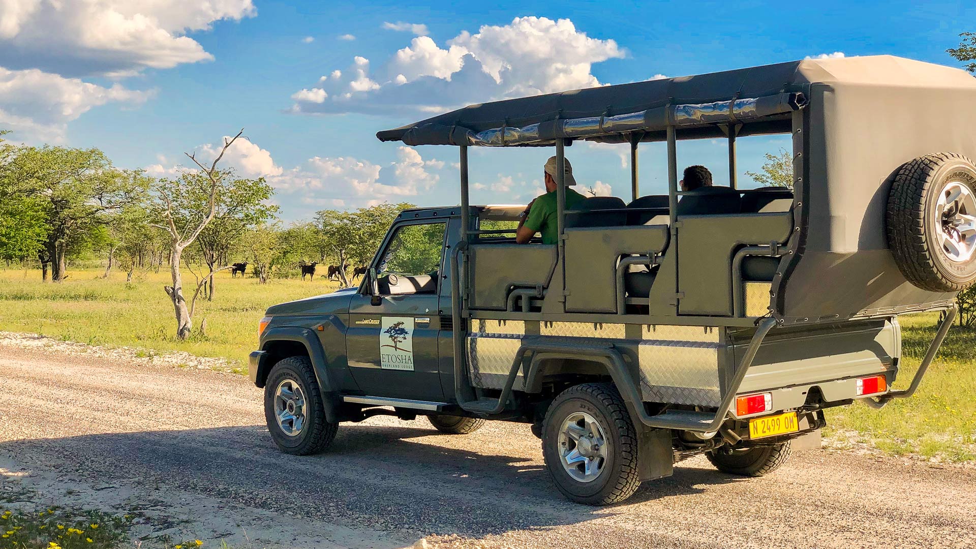 etosha-safari-05-xl