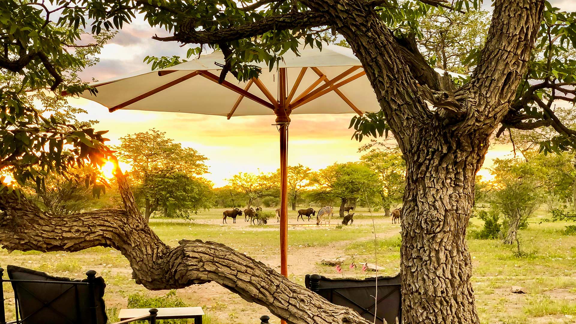 lodge-etosha-oberland-01-xl-neu