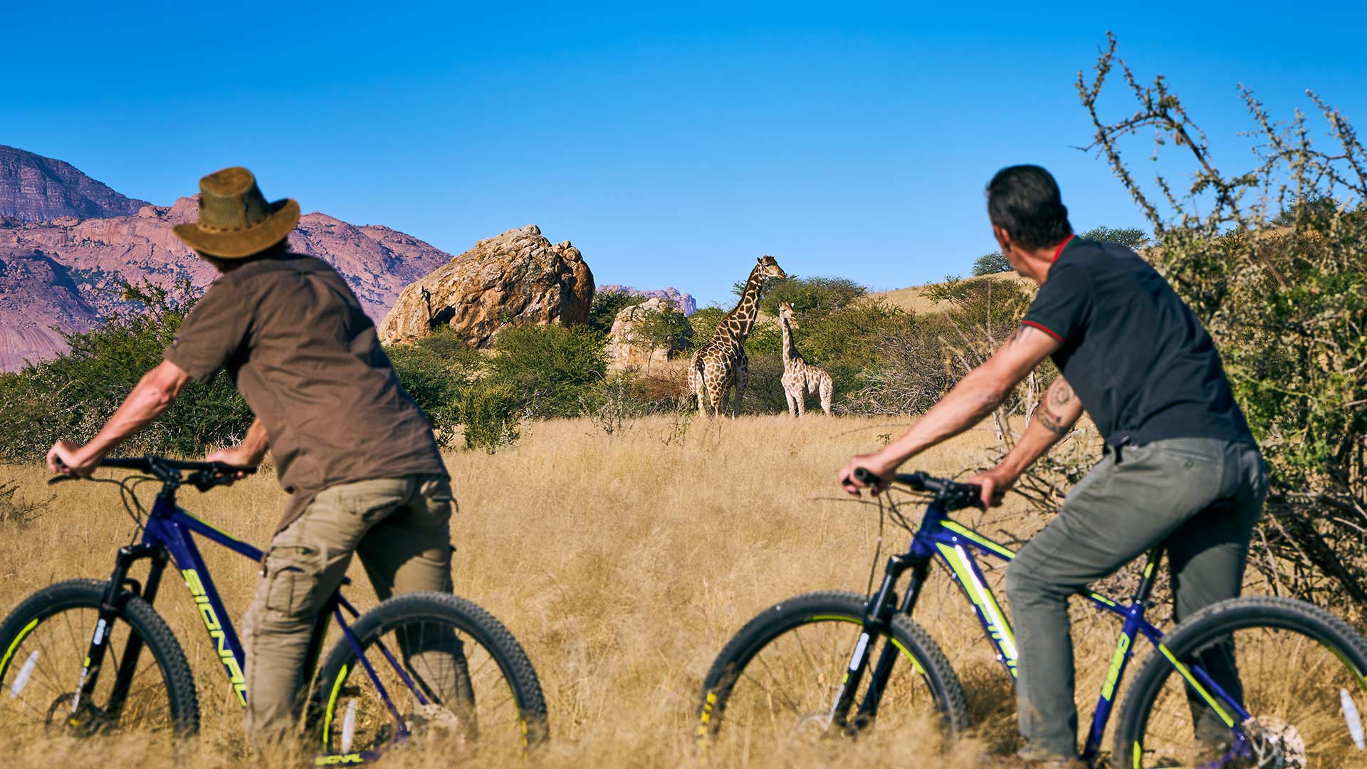 mountain-biking-01a-xl
