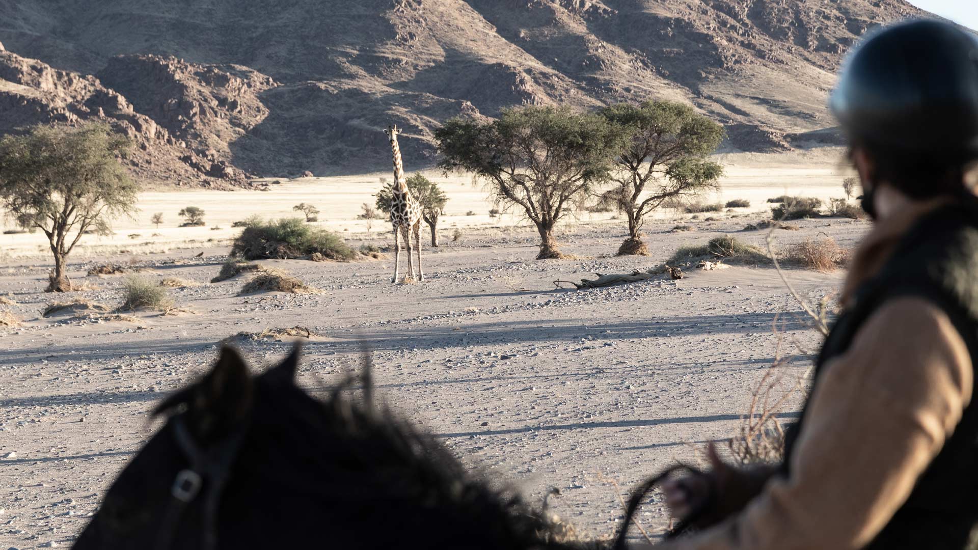 namib-horse-trails-01-xl