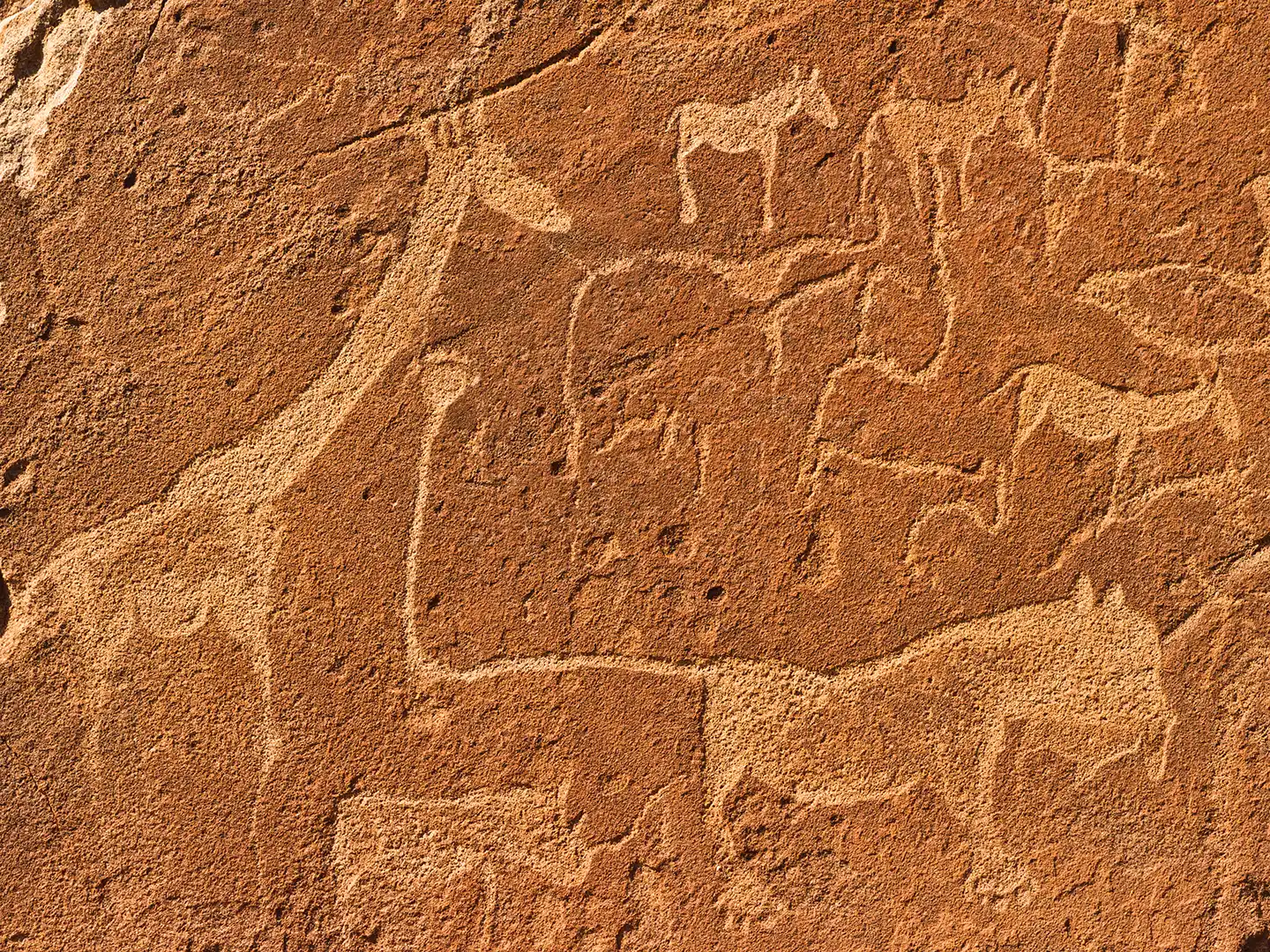 ondili-aktivitaet-damaraland-triple-01_md