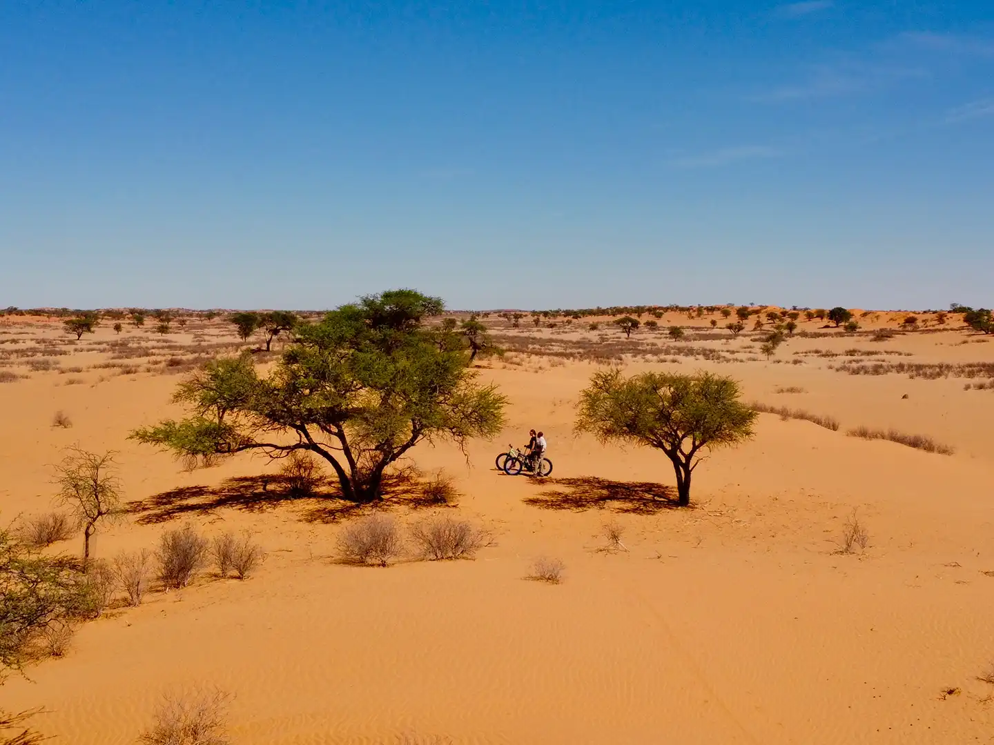 ondili-activity-mountainbiking_01_md