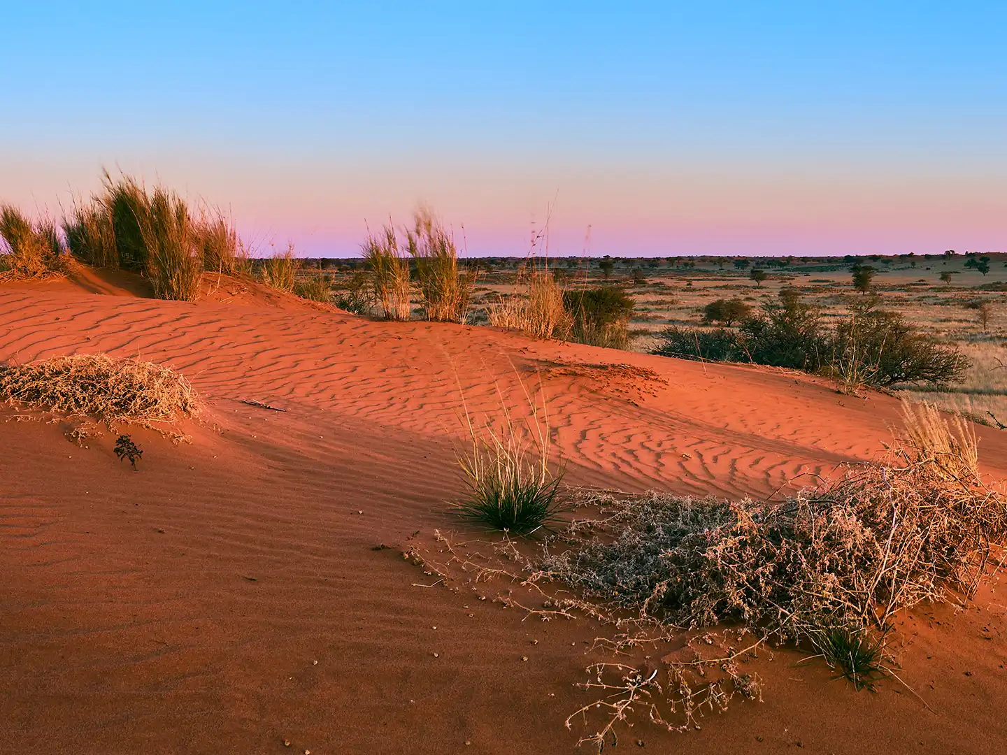 ondili-aktivitaet-scenic-drive-kalahari_02_md