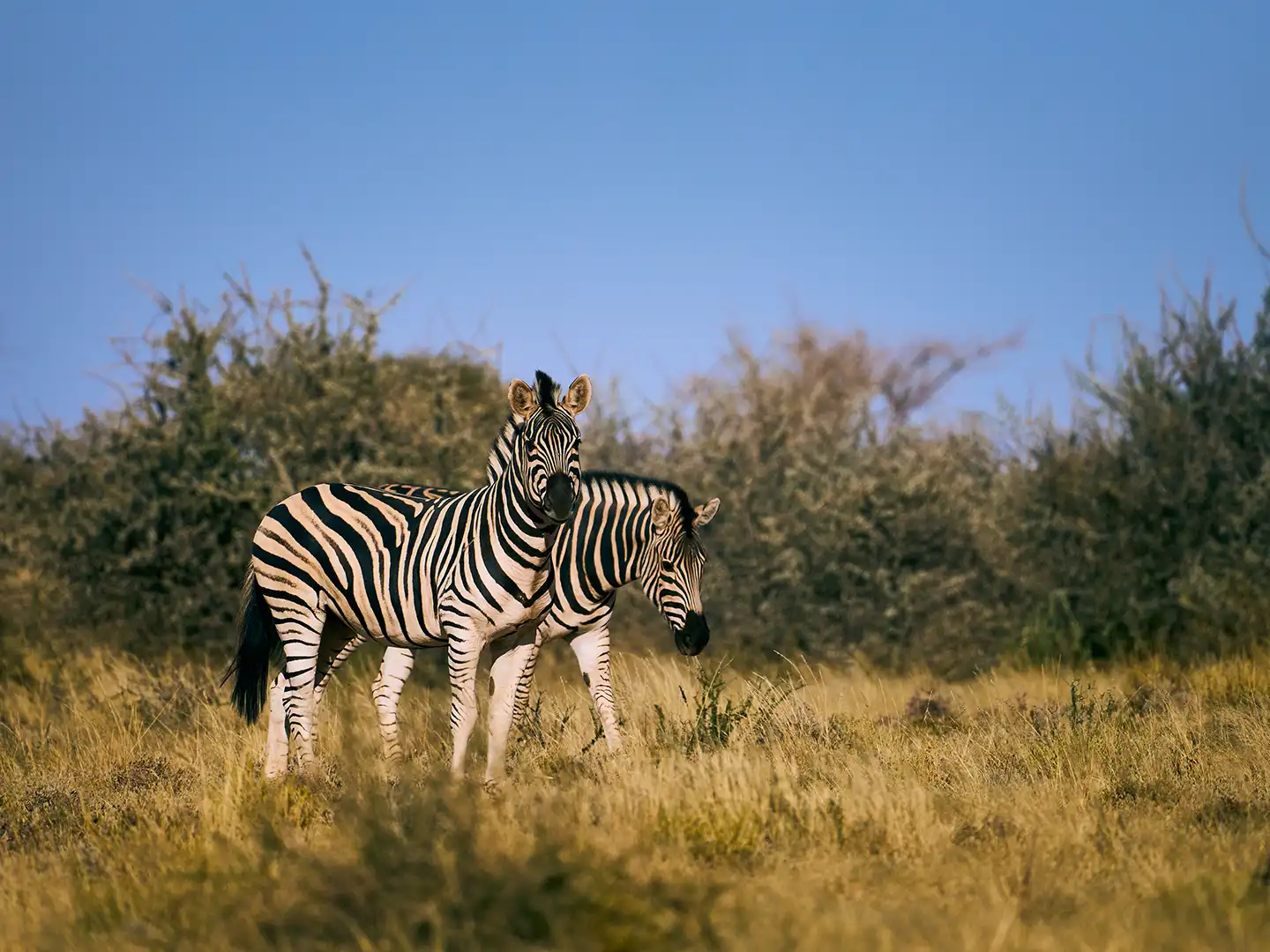 ondili-aktivitaet-scenic-drive-kalahari_04_md