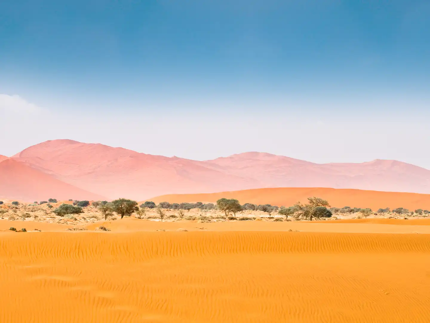 ondili-aktivitaet-sossusvlei-01_md