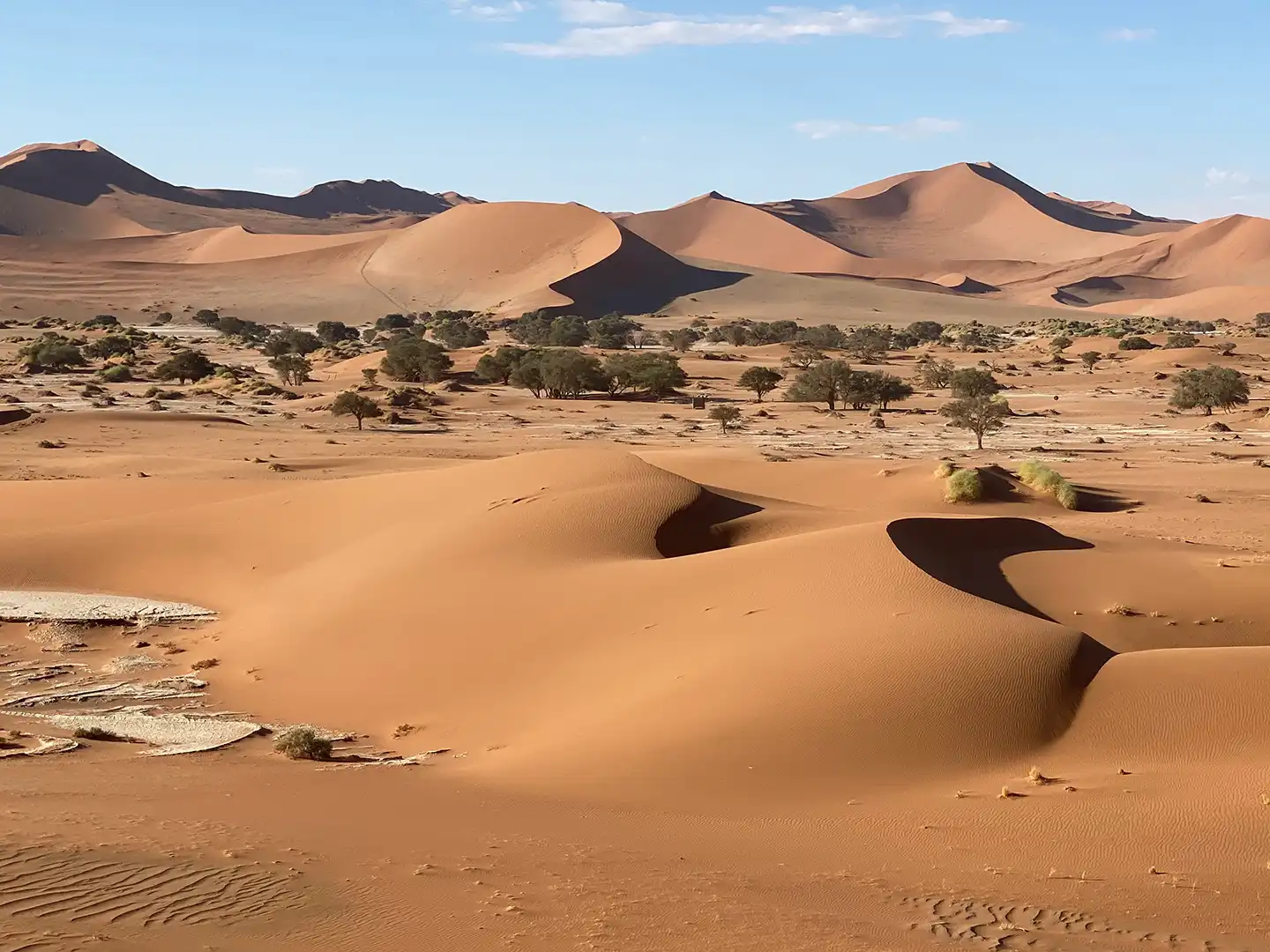 ondili-aktivitaet-sossusvlei-02_md