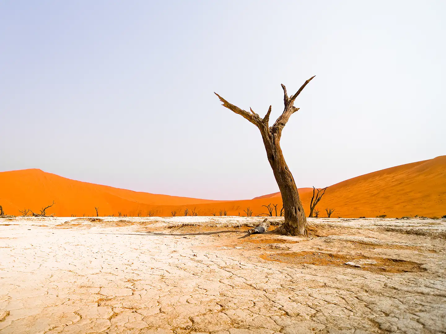 ondili-aktivitaet-sossusvlei-04_md