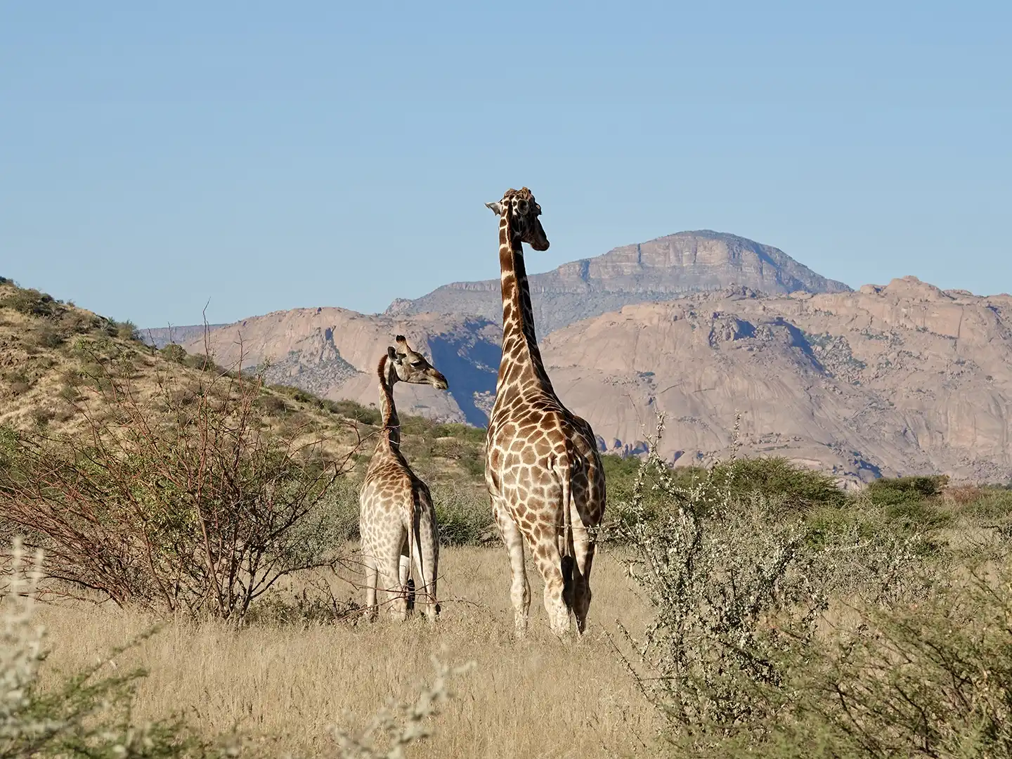 ondili-aktivitaet-sundowner-drive-erongo_03_md
