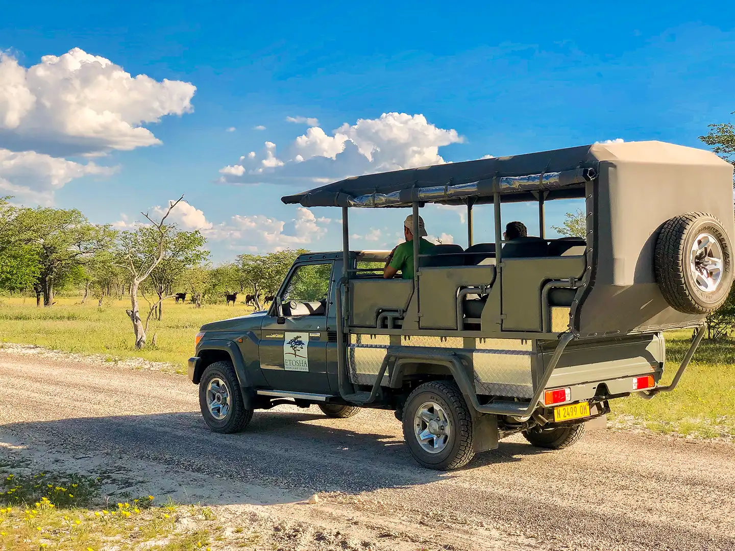 ondili-aktivitaet-sundowner-drive-etosha_05_md