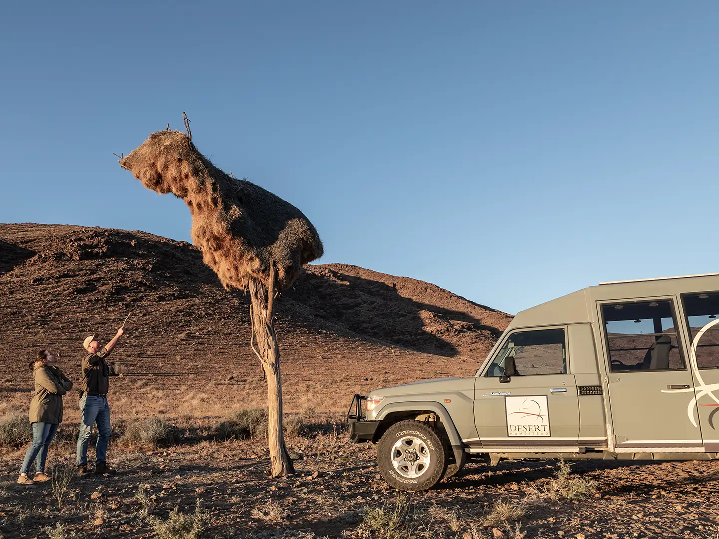 ondili-aktivitaet-sundowner-drive-namib_05_md