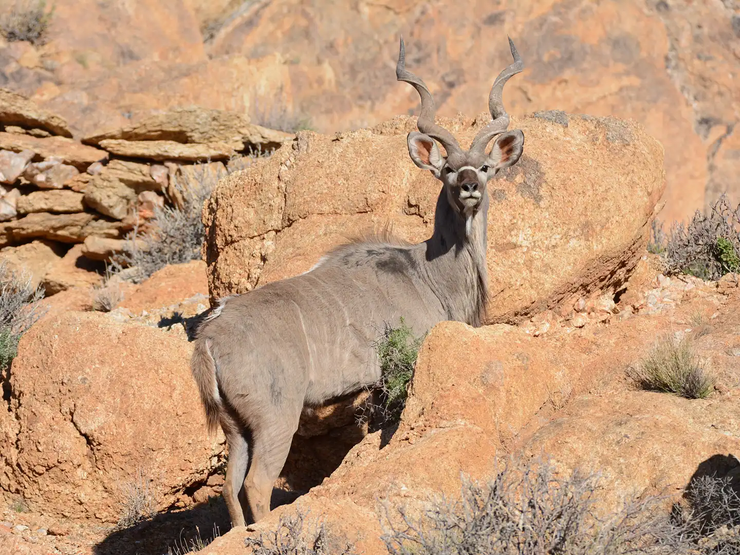 ondili-aktivitaet-wandern-erongo_01_md