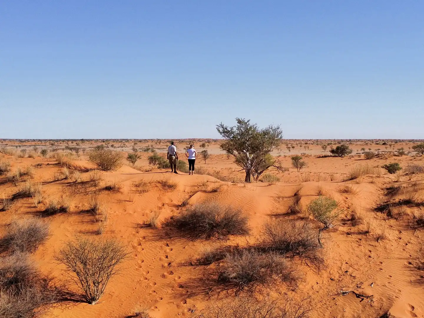 ondili-aktivitaet-wandern-kalahari_02_md