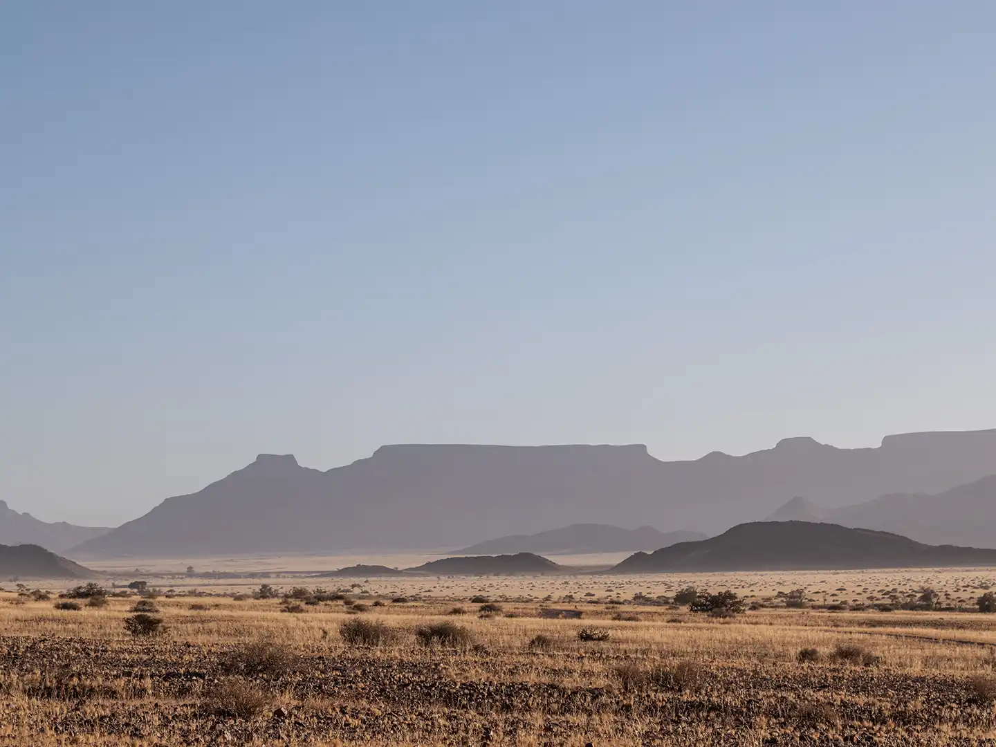 ondili-aktivitaet_Landscape Desert Homestead_md