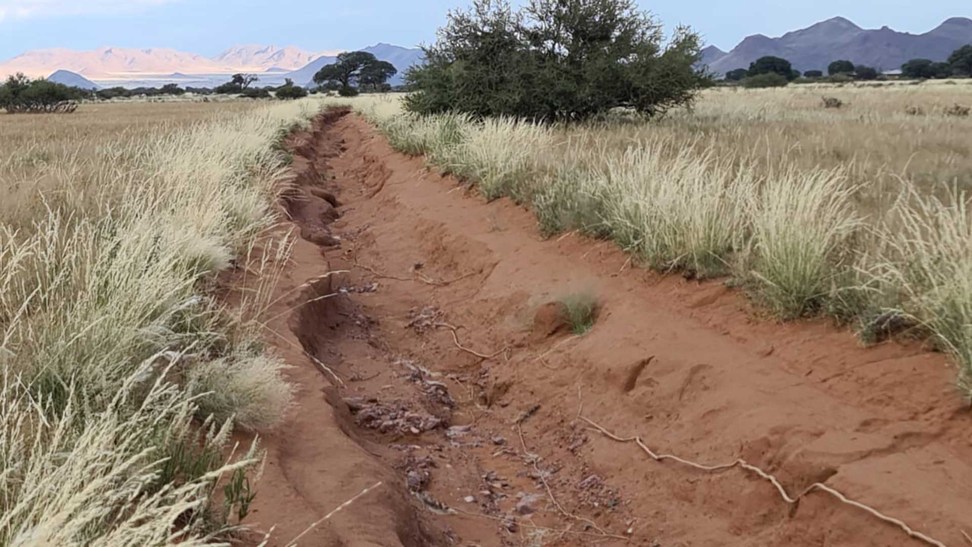 ondili-oekologie-erosion-01-xl