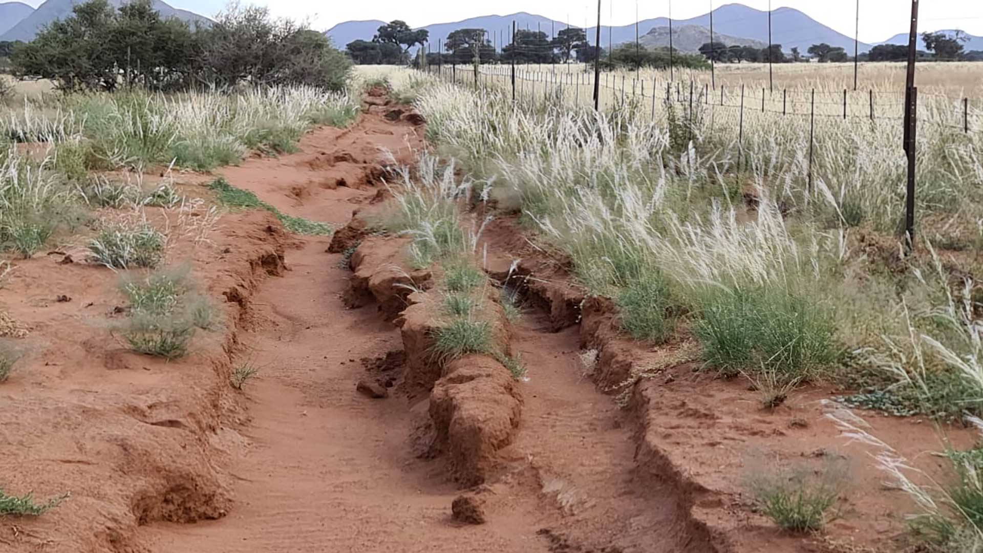 ondili-oekologie-erosion-05-xl