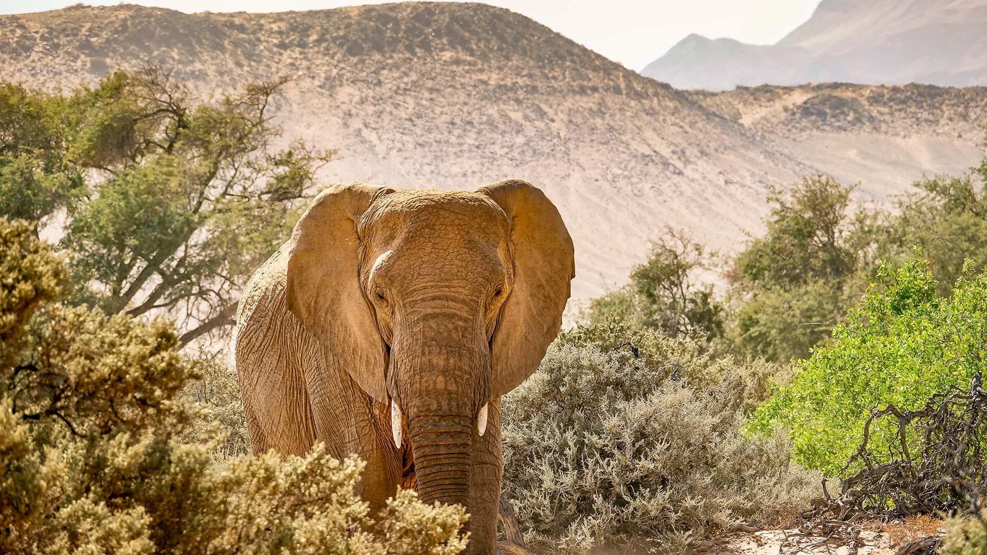 region-damaraland-01-xl