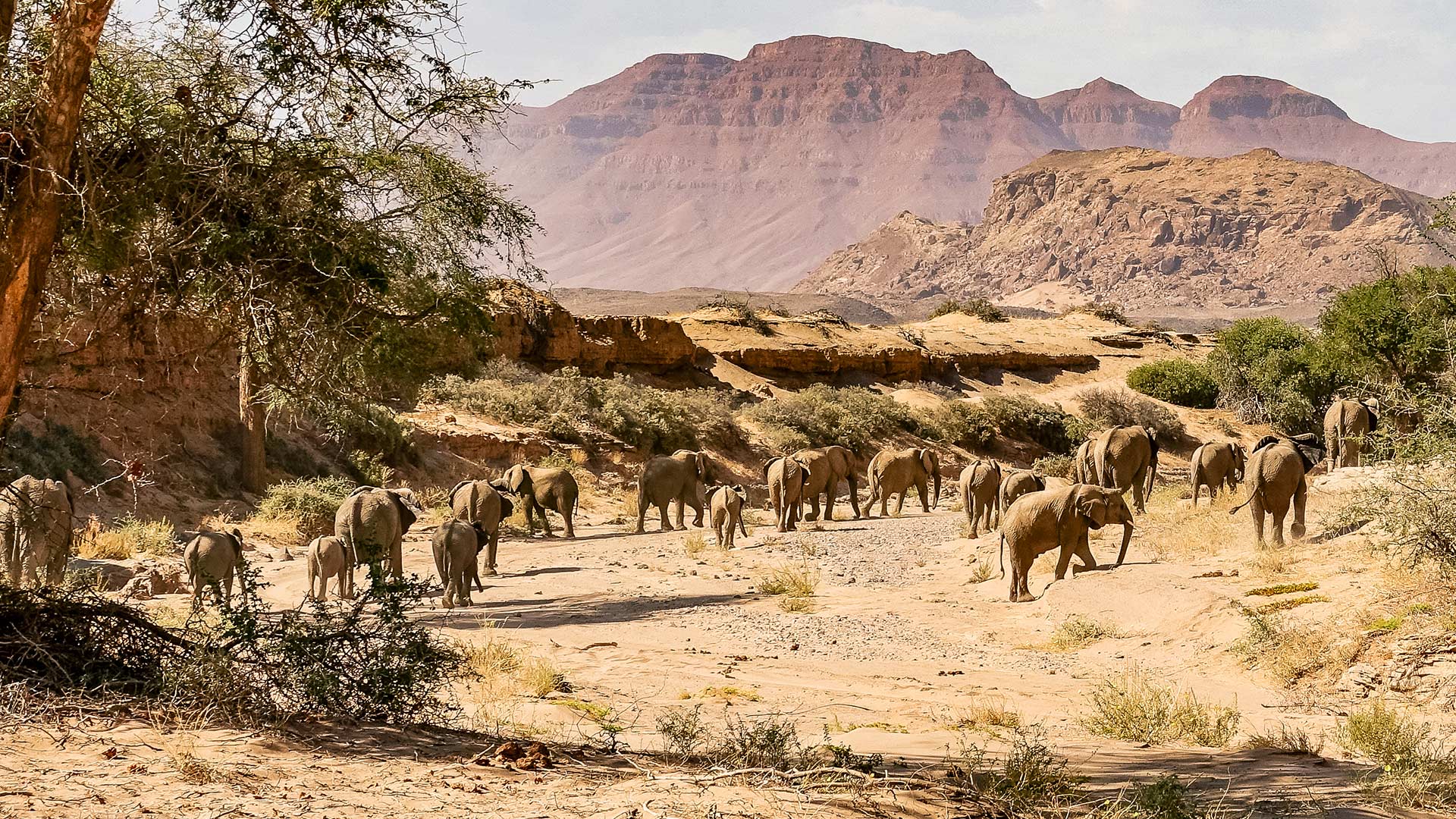region-damaraland-03-xl
