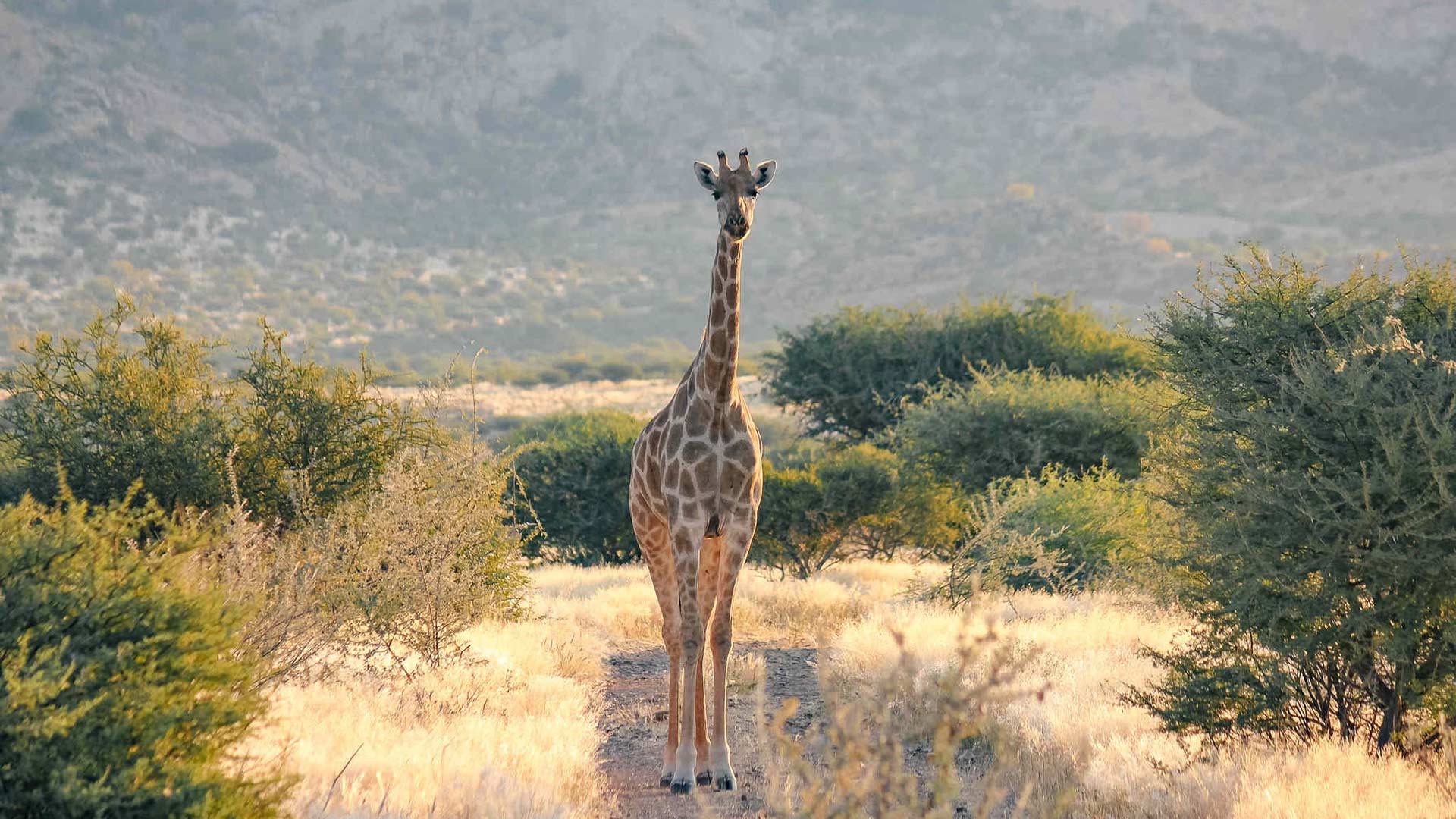 region-erongo-01-xl