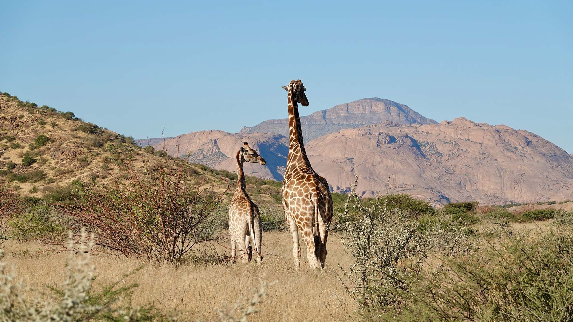 region-erongo--neu-03-xl