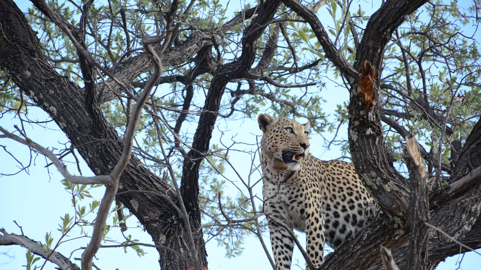 region-etosha-02-xl