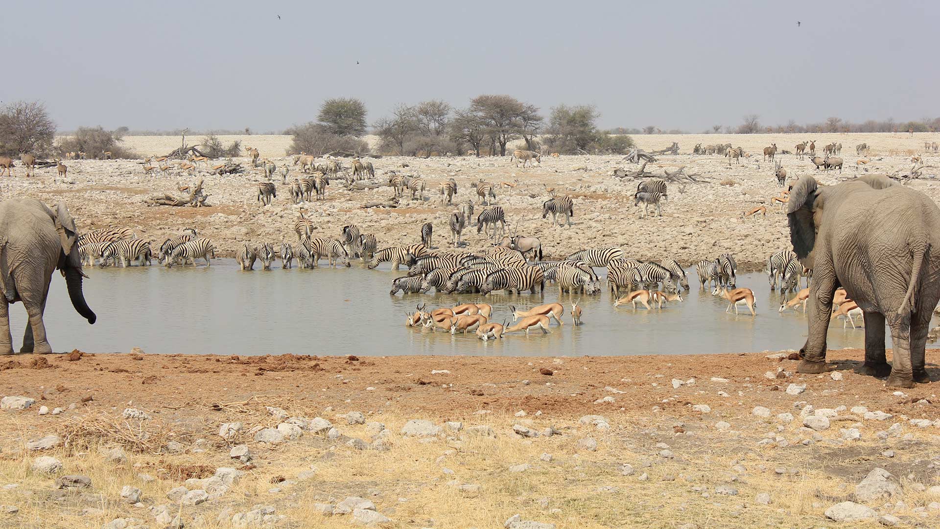 region-etosha-03-xl