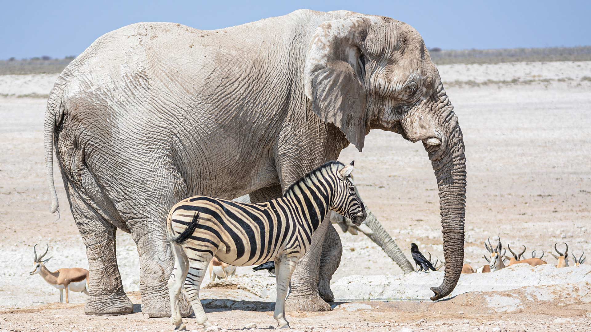 region-etosha-05-xl
