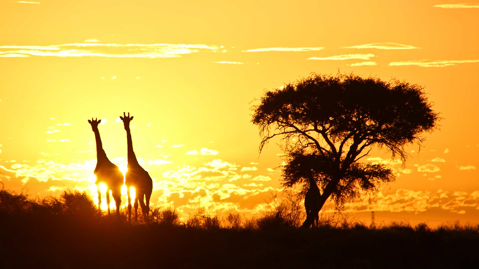 region-kalahari-01-xl