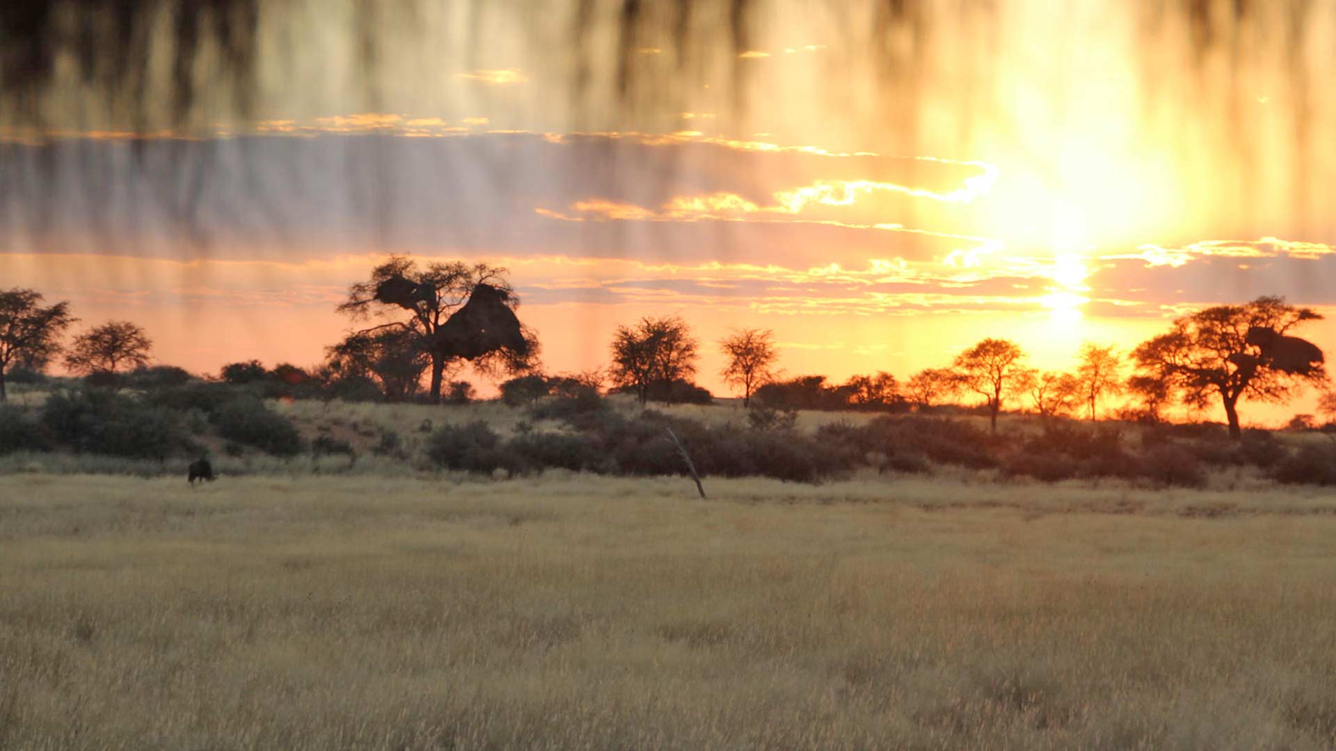 region-kalahari-01-xl