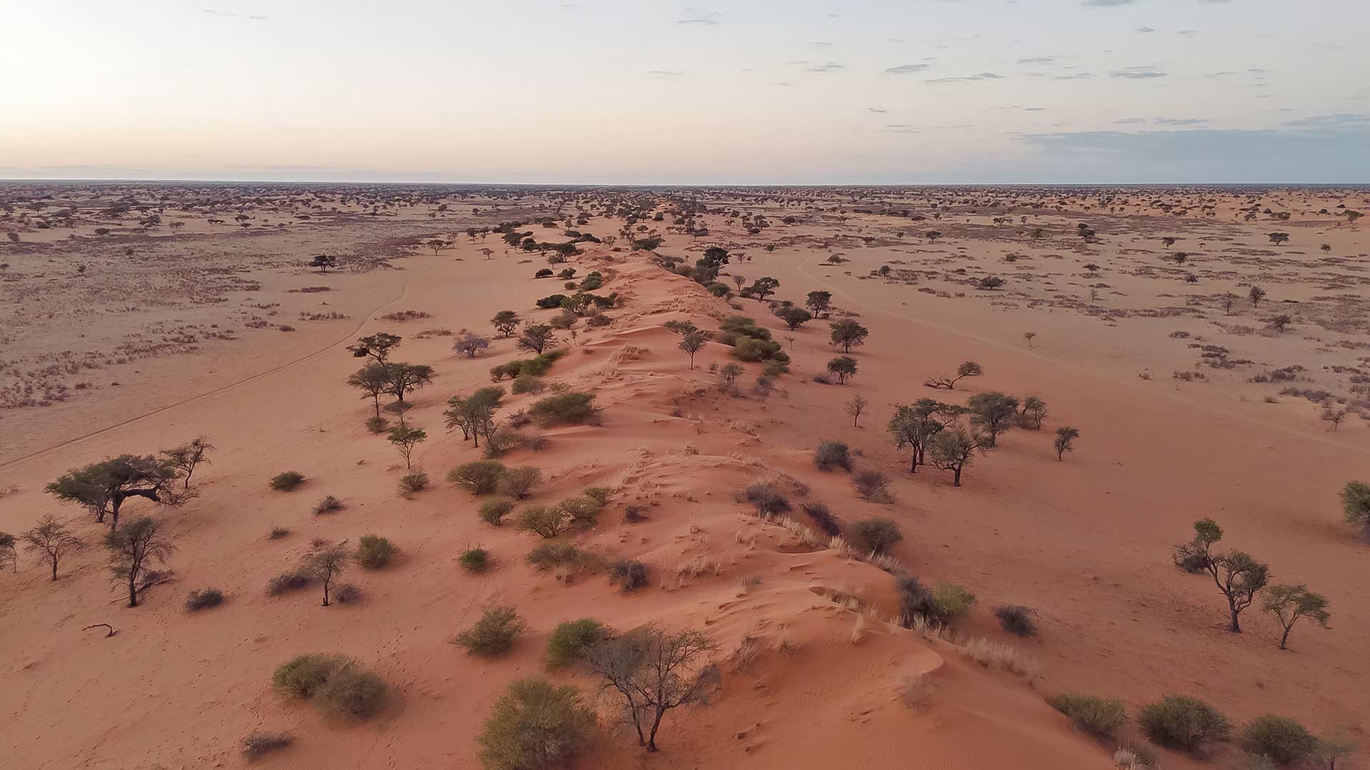 region-kalahari-03-xl