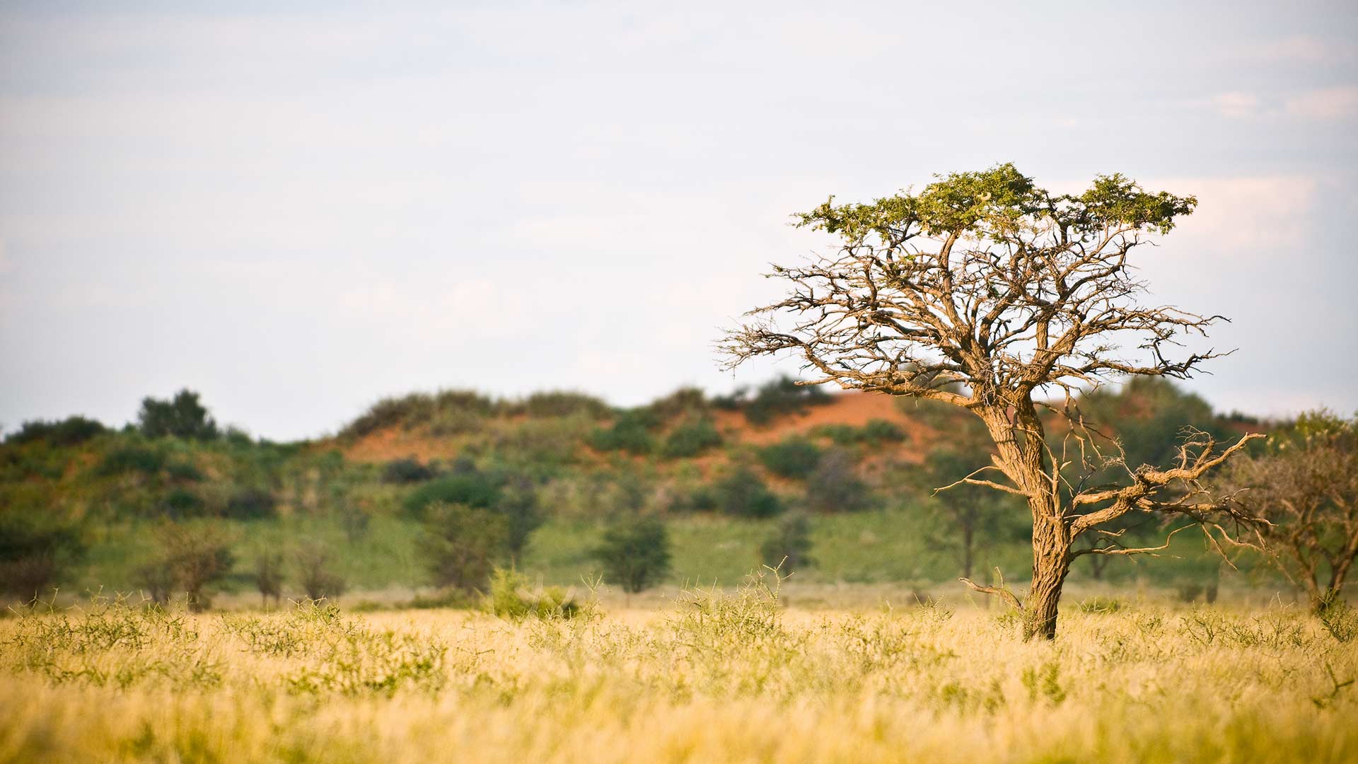 region-kalahari-05-xl