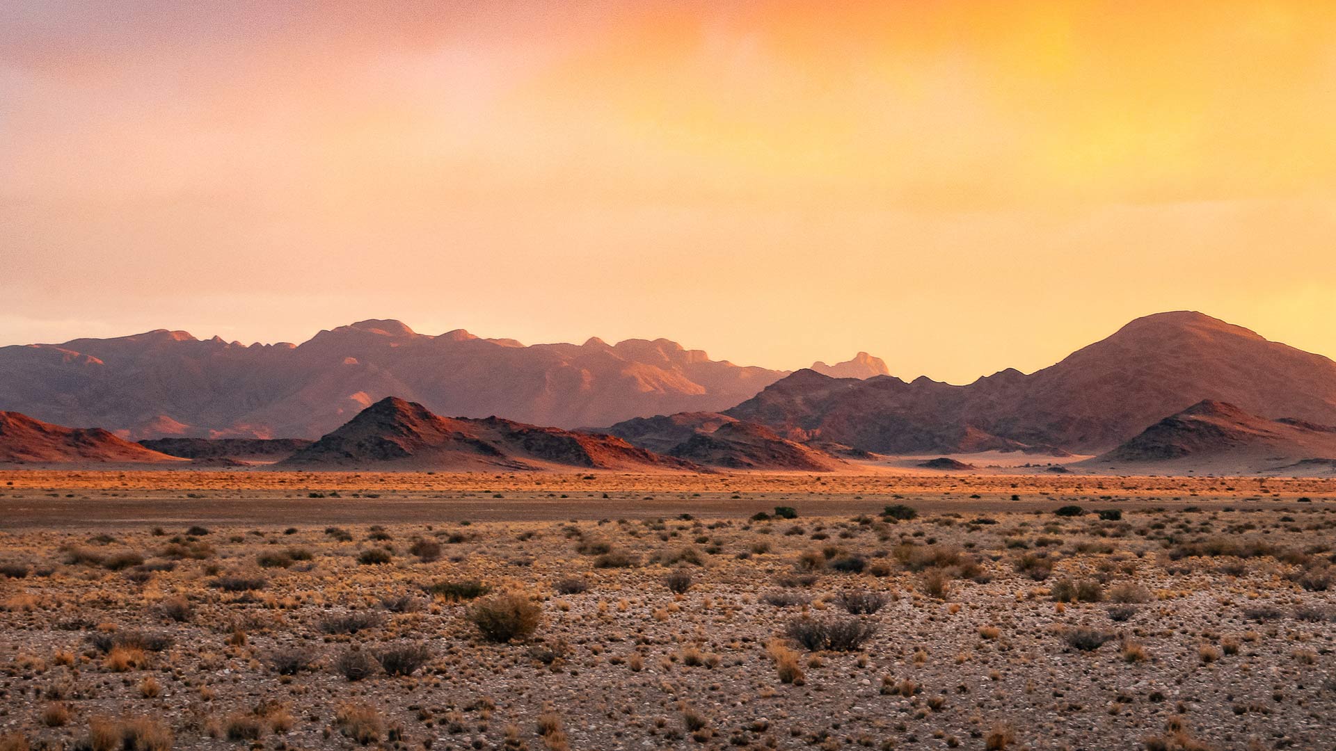 region-namib-04-xl