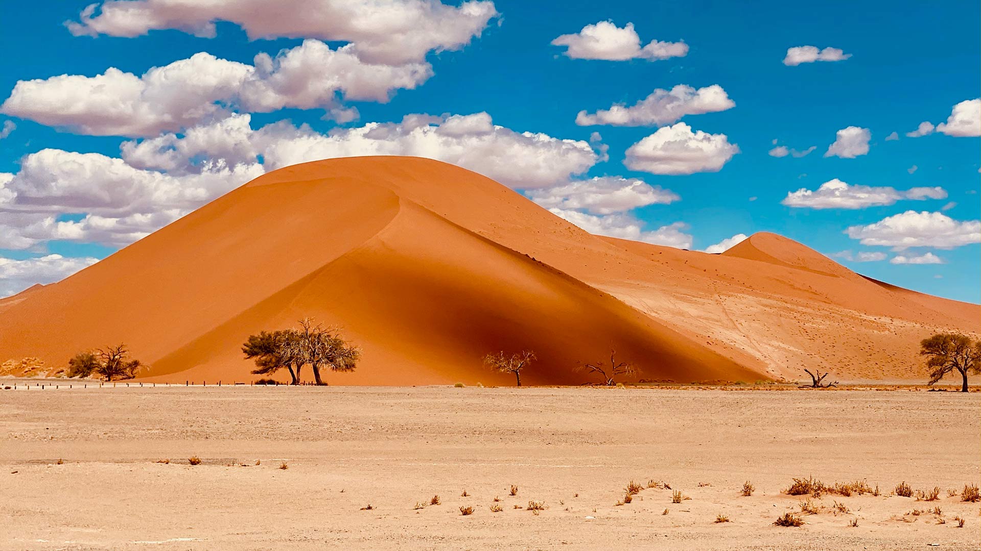 sossusvlei-safari-04-xl
