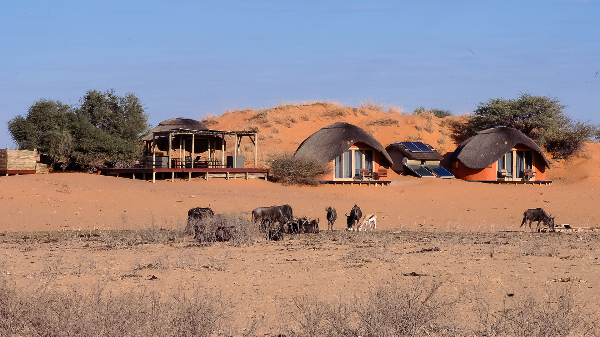 trans-kalahari-walk-02-xl