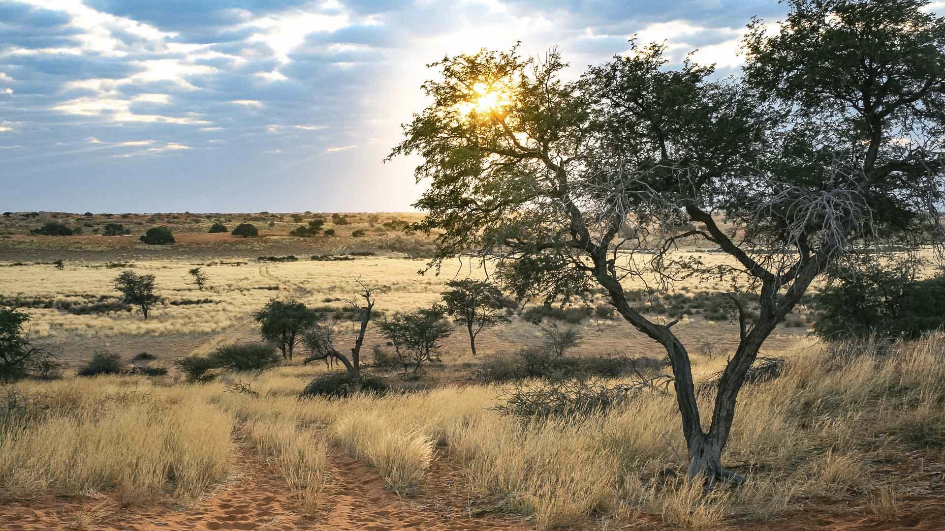 wanderungen-aktivitaeten-kalahari-01-xl