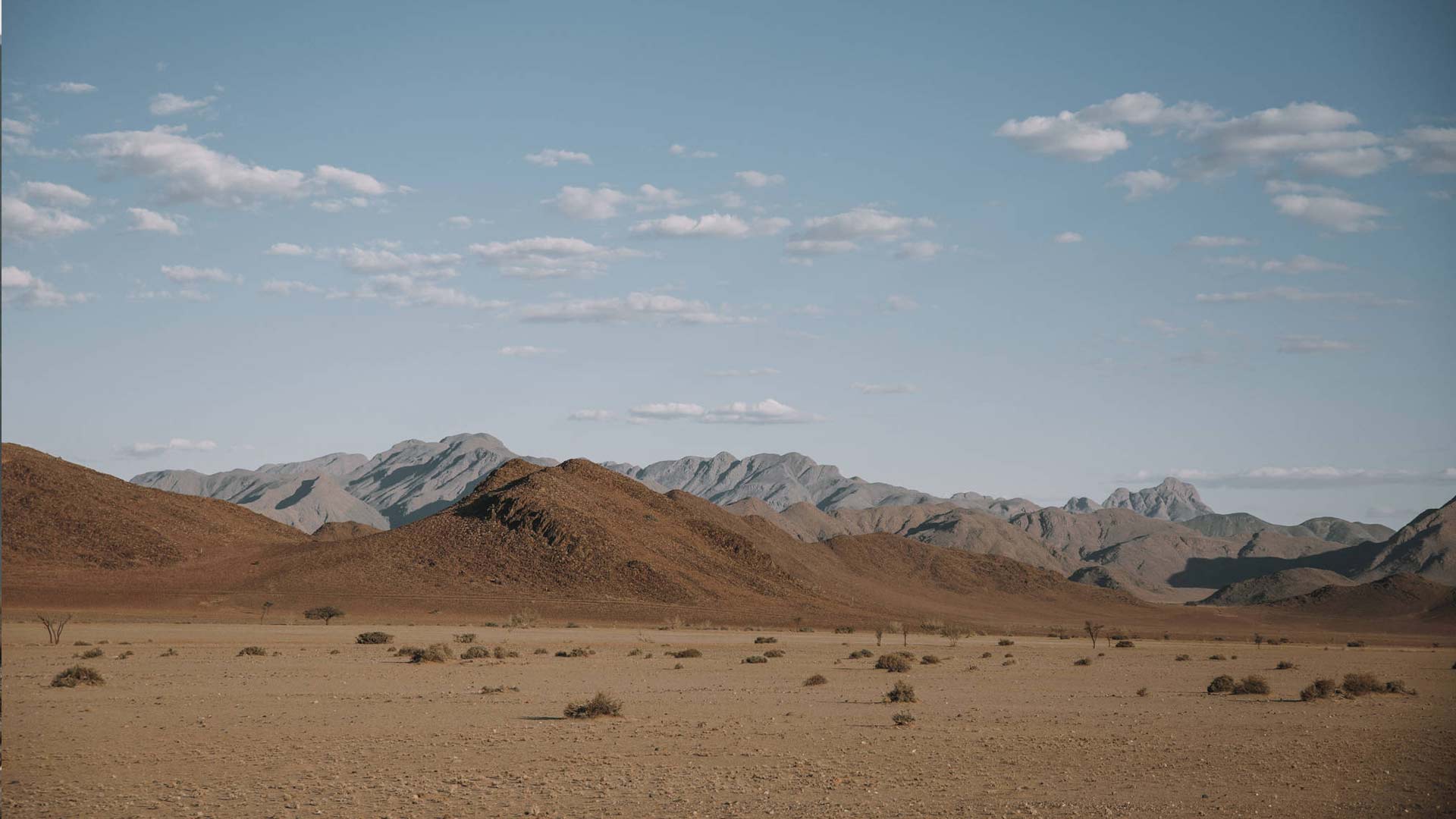wanderungen-aktivitaeten-namib-04-xl